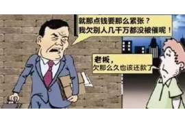 宁国企业清欠服务